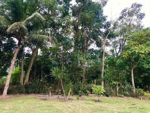 Lodge Natureza Pura