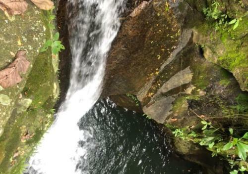Glamping Vacacional Con Piscina En Caldas