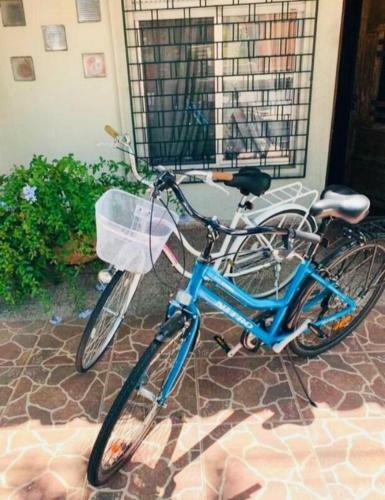 Alquiler de Casa Por D�a