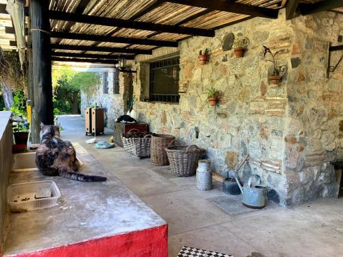 Campo De Los Sue�os