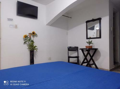 Hotel Plaza Calarc�
