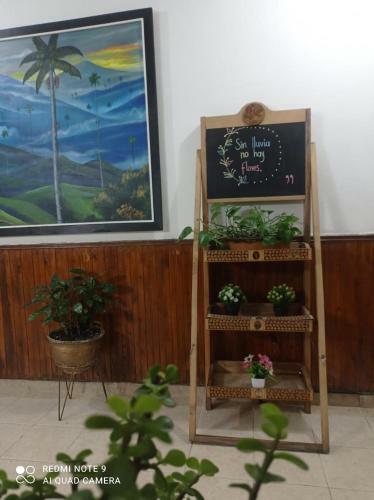 Hotel Plaza Calarc�