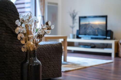 Apartman Amelia Tale