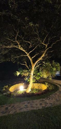 Finca Prometeo - Lago Calima