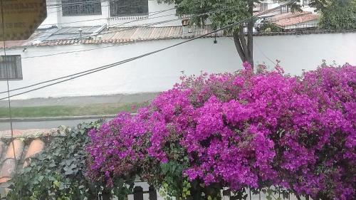 Hostal Camitas Inn