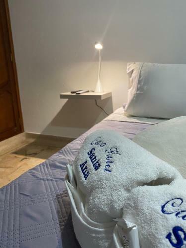 Hotel Santa Ana Cedritos