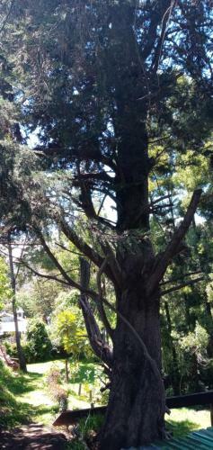 Lodge Caba�a En La Calera El Pinar