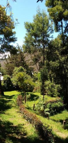 Lodge Caba�a En La Calera El Pinar