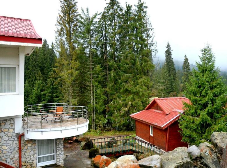 Lodge Vile Izvorul Minunilor