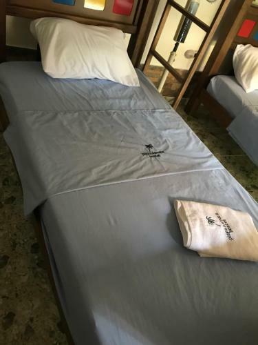 Hostal Playa Samara Hostel