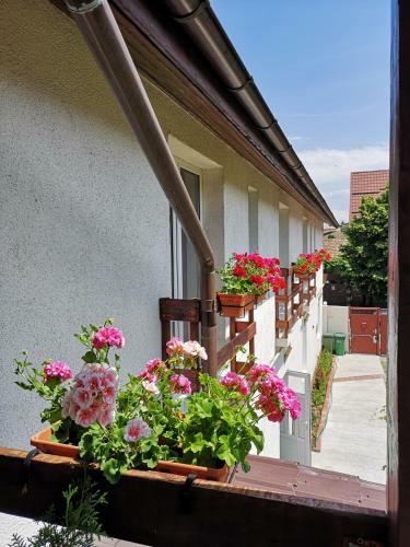 Hostal Casa Mais