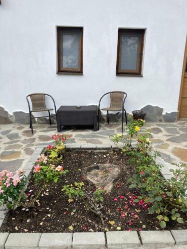 Livada Studio Apartments