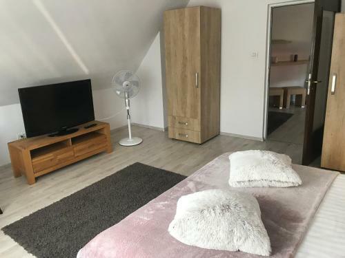 Apartament Modern
