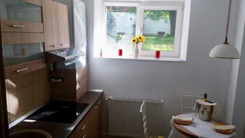 Diac Apartment Center Brasov