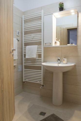 Cassie Apartment Brasov