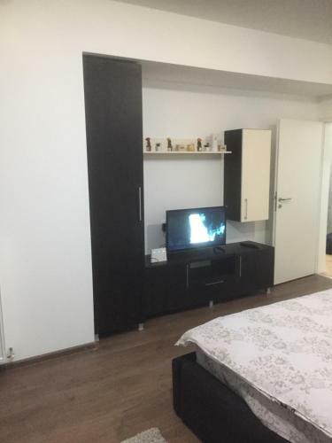 Ioan Popasu Apartment