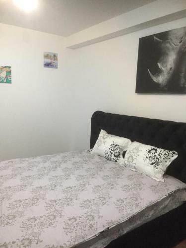 Ioan Popasu Apartment