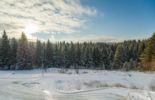 Silver Mountain 3 Bedroom Apartment