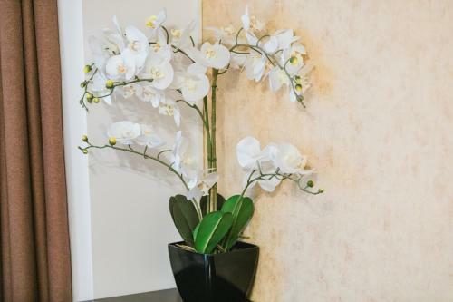 Apartamento Seasons Atmosphere Studio