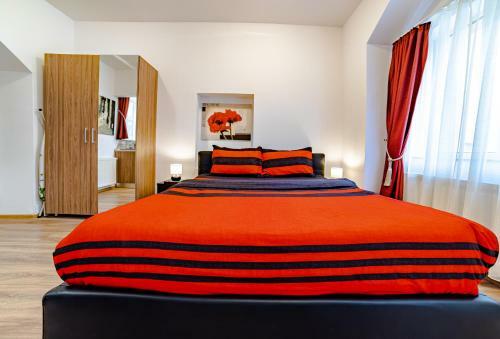 Apartamentos Poarta Schei Studio