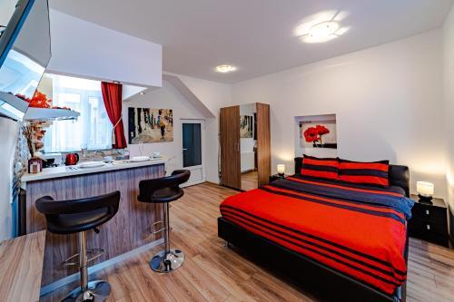 Apartamentos Poarta Schei Studio