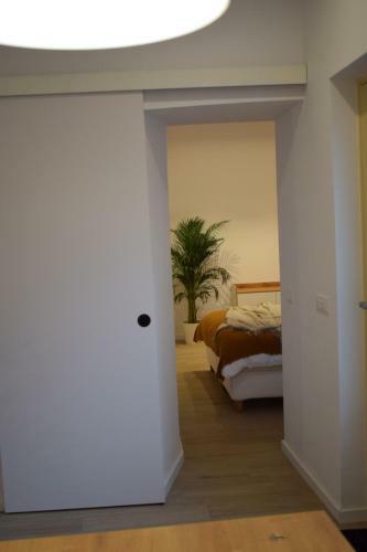Voya Apartments - A Luxury Oasis In The Old Town