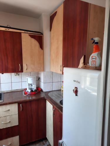 Apartamento Casa Adrian-garsoniera Centru Vechi