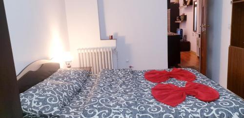 City Center Apartment Brasov 59