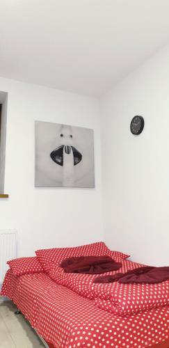 City Center Apartment Brasov 59