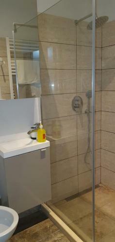 Apartamento Centre Ville