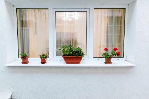 Apartamento Koncept Studio