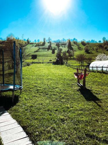 Lodge Cabanute Luca Ama Bran