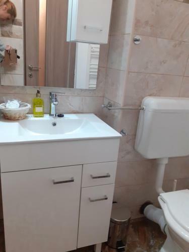 Apartamento Tampa Studio
