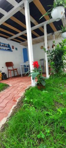 Apartamento Casa Agriselor