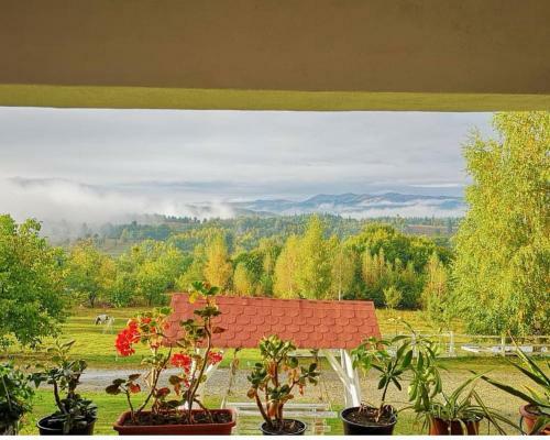 Hostal Pensiunea Gr?dina Ascunsa