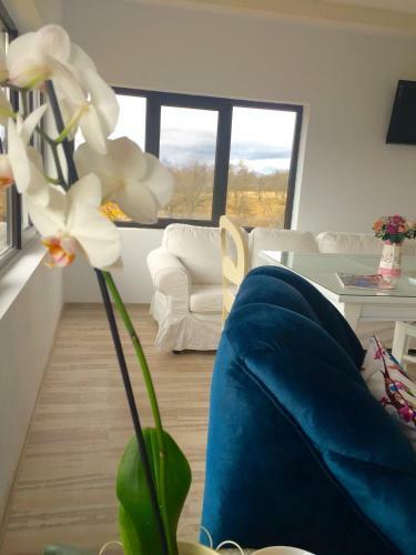 Hostal Pensiunea Gr?dina Ascunsa