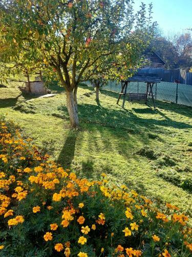 Villa Pensiunea Poiana Luminoas?