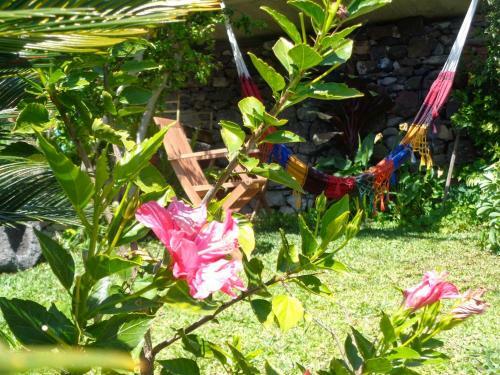 Apartamento Magro�s House