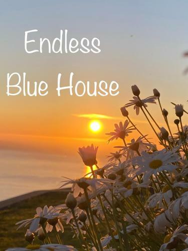 Endless Blue House