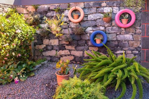 Agroturismo Casa Das Cam�lias