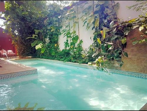 Apartamento Edificio Siry - Departamento 7 Segundo Piso