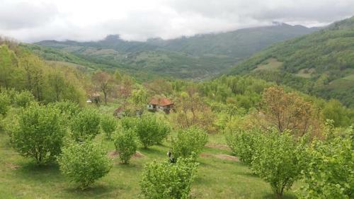 Hostal Camera Lux Bulz