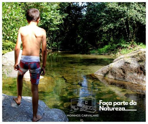 Moinhos Carvalhas