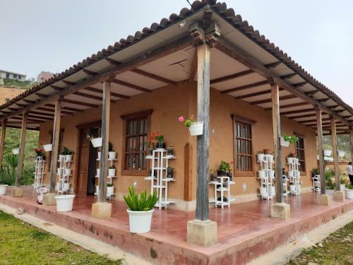 City Garden Chachapoyas
