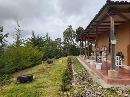 City Garden Chachapoyas