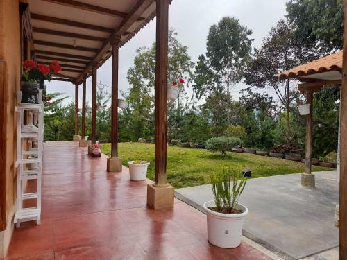 City Garden Chachapoyas