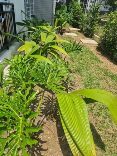 Apartamento Cali Kamelia Bochalema