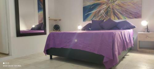 Apartamento Violet Parrot San Antonio