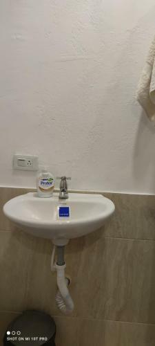 Apartamento Violet Parrot San Antonio