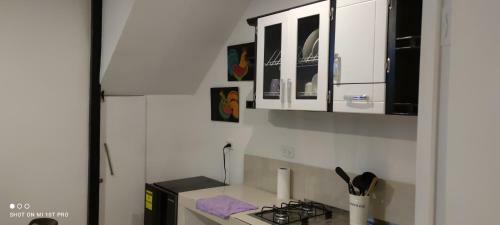 Apartamento Violet Parrot San Antonio